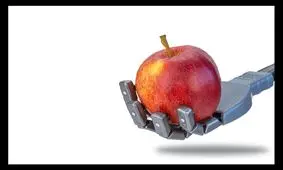 بودجه ۷۵ میلیون دلاری برای ساخت سیستم عصبی هوشمند ربات‌ها

