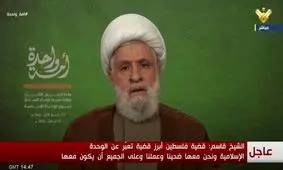 شیخ نعیم قاسم: تجاوز به قطر بخشی از پروژه «اسرائیل بزرگ» است