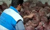 توقیف ۱۵۰۰ کیلوگرم گوشت مخلوط اسب و گاو در این شهر جنوبی