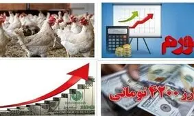 مقصر مرغ ۱۰۰ هزار تومانی کیست؟