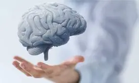 آیا مغز در لحظه مرگ، خاطرات را مرور می‌کند؟/ ویدئو

