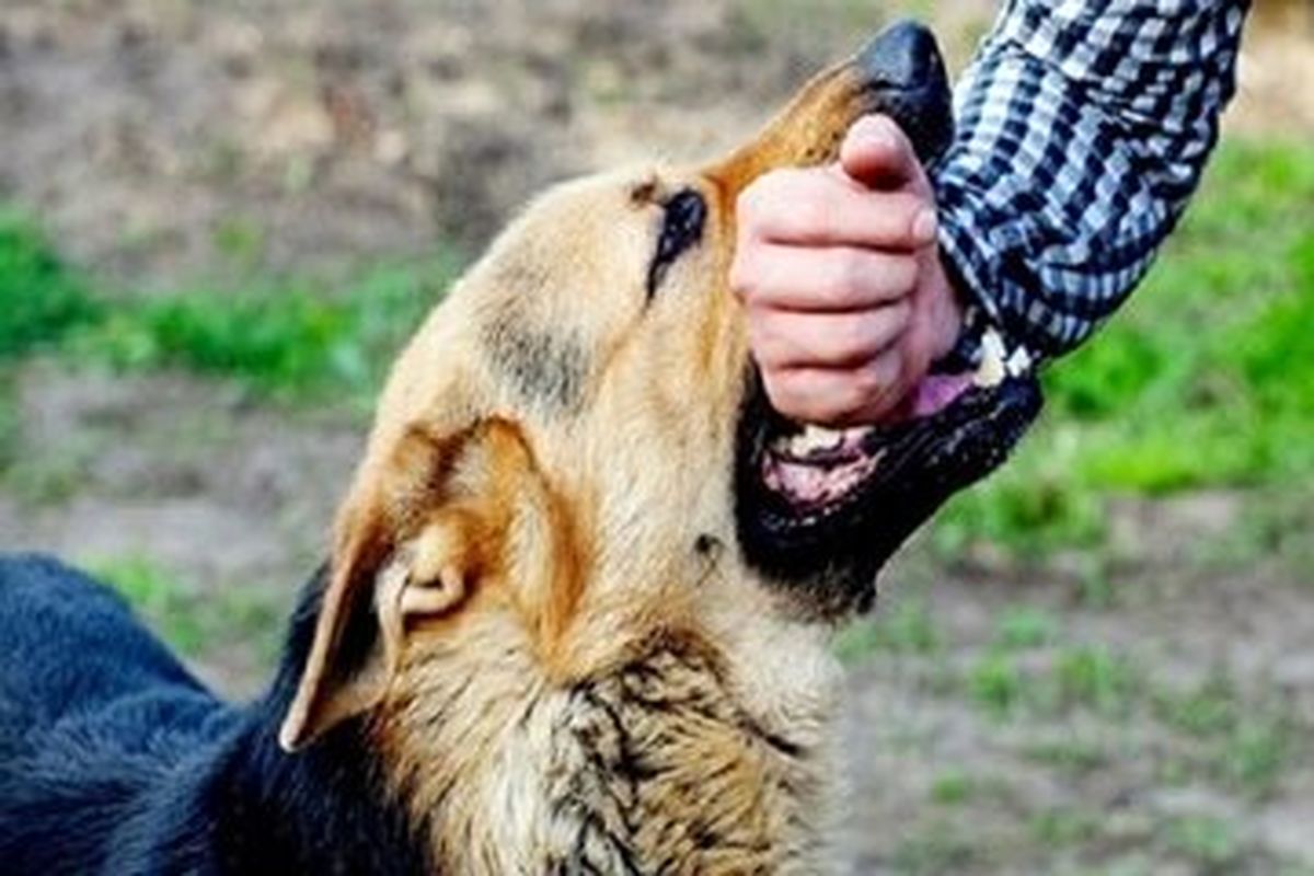 این بیماری سالانه ۵۹ هزار قربانی میگیرد