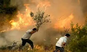 جنگل‌های منطقه حفاظت شده «کوه سرخ» گچساران در آتش می سوزد/ ویدئو