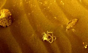 ناسا در کره‌مریخ چیزی شبیه «اسپاگتی» پیدا کرد 