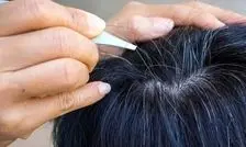 ۷ ترفند برای خداحافظی با موهای سفید