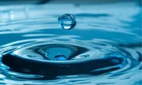 بخش کشاورزی در حال غارت آب!