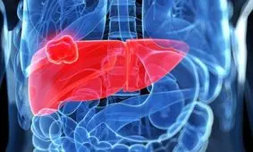 گیاهان دارویی مفید برای درمان بیماری های کبدی