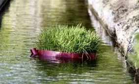 30هزار تومان جریمه برای پرتاب سبزه به معابر و آبراه‌ها