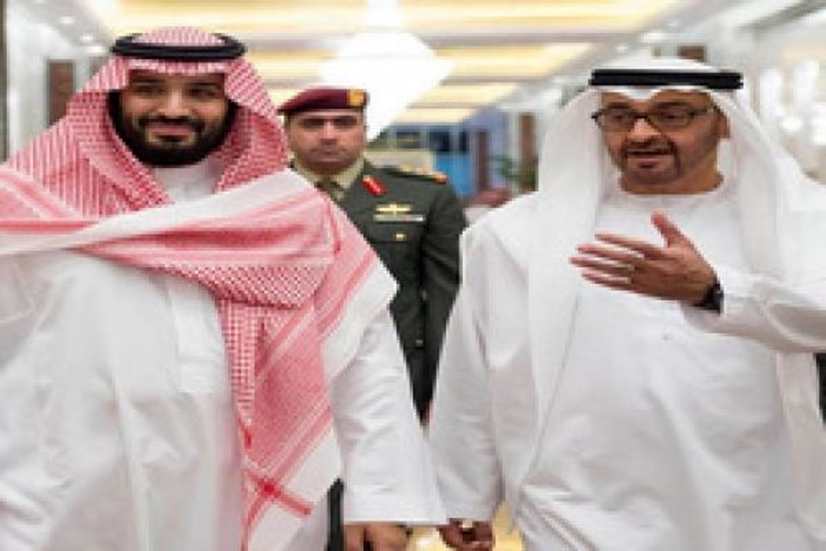 شریک محمد بن سلمان در محیط زیست ایران چه میکند؟ +عکس