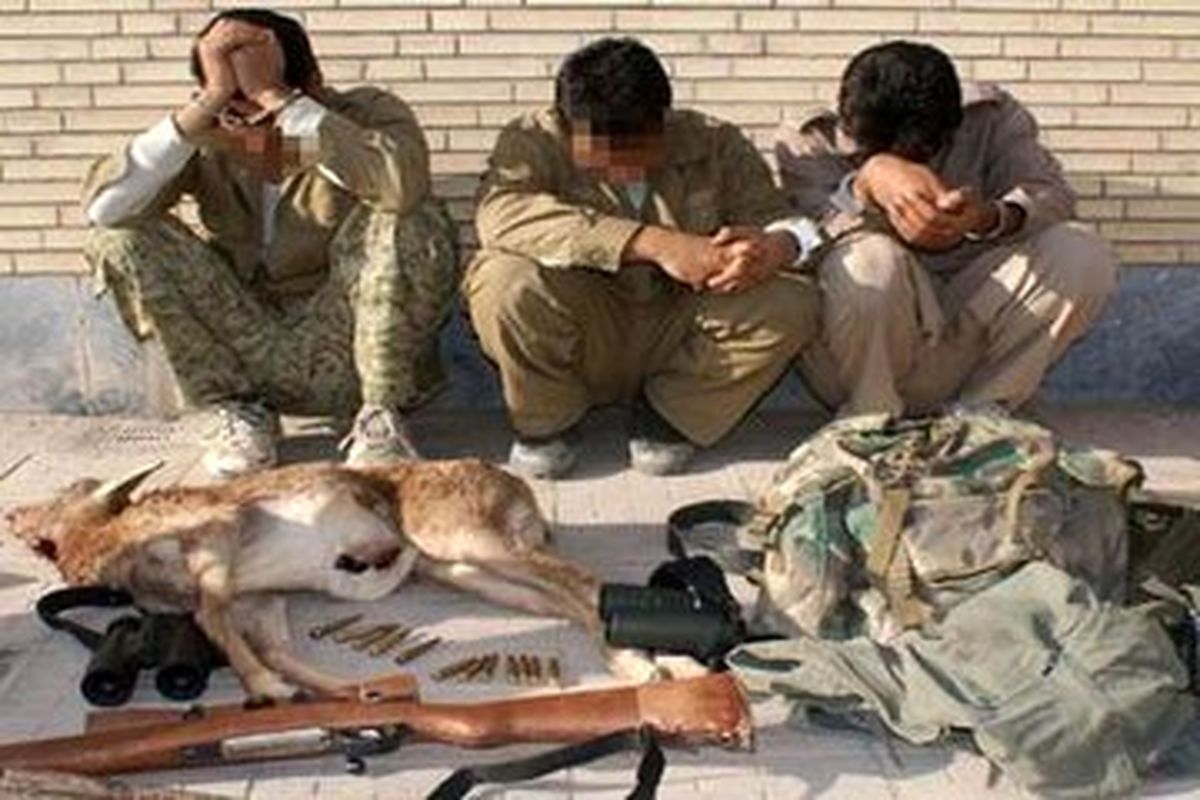 دستگیری باند حرفهای شکارچیان قوچ وحشی در لرستان