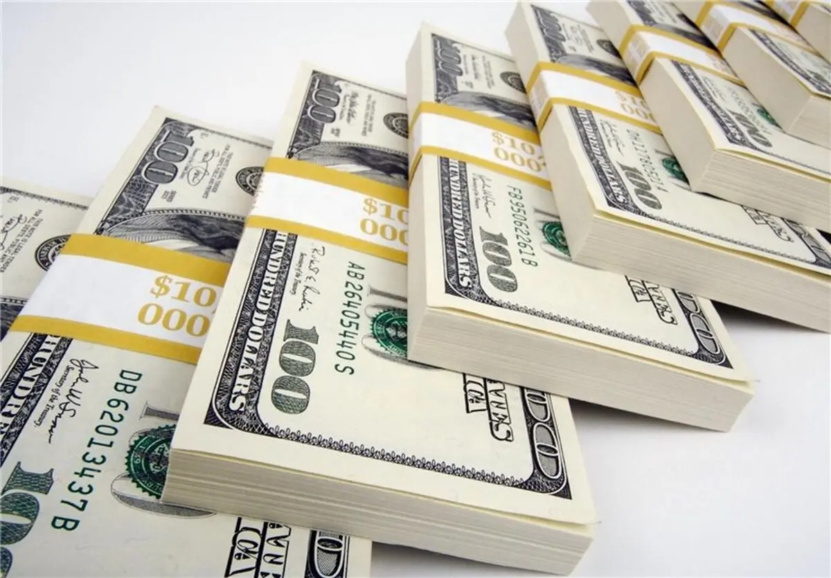 نوسانات اخیر نرخ ارز دلایل فنی دارد/ سکوت سیاسیون بجاست