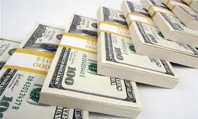 نوسانات اخیر نرخ ارز دلایل فنی دارد/ سکوت سیاسیون بجاست