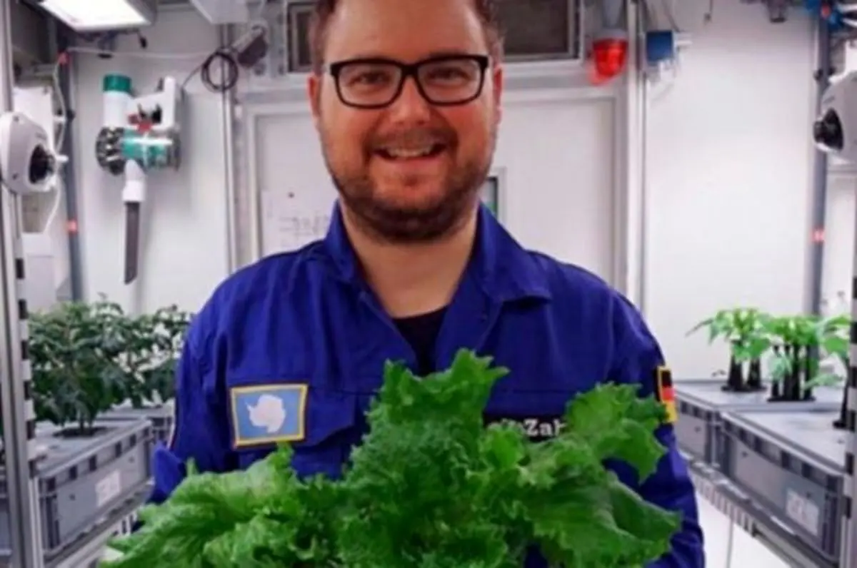 کاشت سبزیجات بدون خاک و نور در قطب جنوب