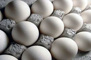 تخم‌مرغ همچنان گران‌تر از قیمت منطقی
