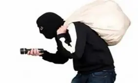 گران‌ترین و اسرار آمیز‌ترین سرقت‌های تاریخ + تصاویر