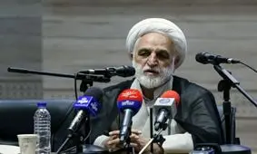 سخنگوی قوه قضائیه: طولانی شدن پرونده‌های ما به دلیل نظر کارشناسی است/بیان بعضی از مسائل پرونده‌ها میسر نیست