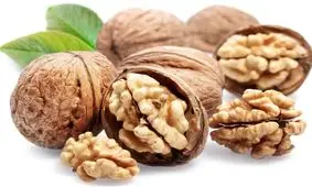 ۱۰۰ گونی گردوی قاچاق خارجی در میاندوآب کشف شد