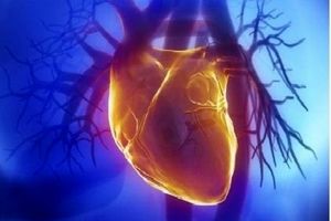 ۶ علامت بیماری‌های قلبی عروقی
