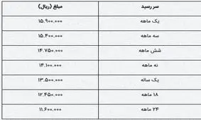 پیش فروش سکه در شعب بانک ملی ایران