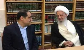 فیلم/ انتقاد آیت‌الله مکارم شیرازی از تحریف سخنانش درباره طب اسلامی