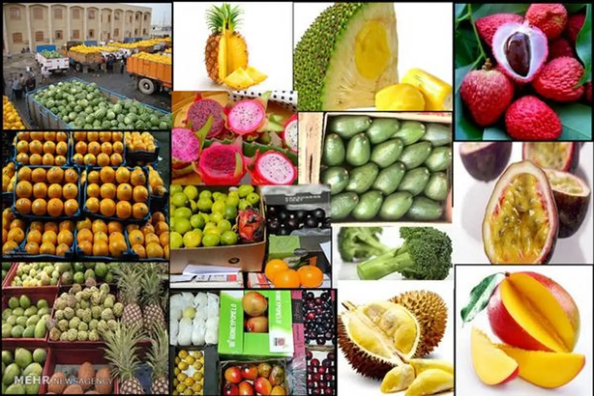 تجملاتی‌ترین و عجیب‌ترین میوه‌های دنیا کدامند؟ +تصاویر