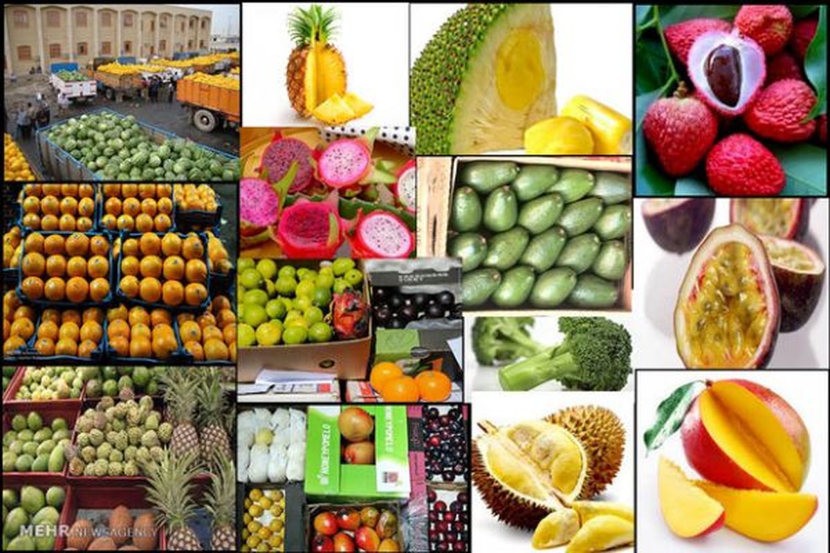 تجملاتیترین و عجیبترین میوههای دنیا کدامند؟ +تصاویر