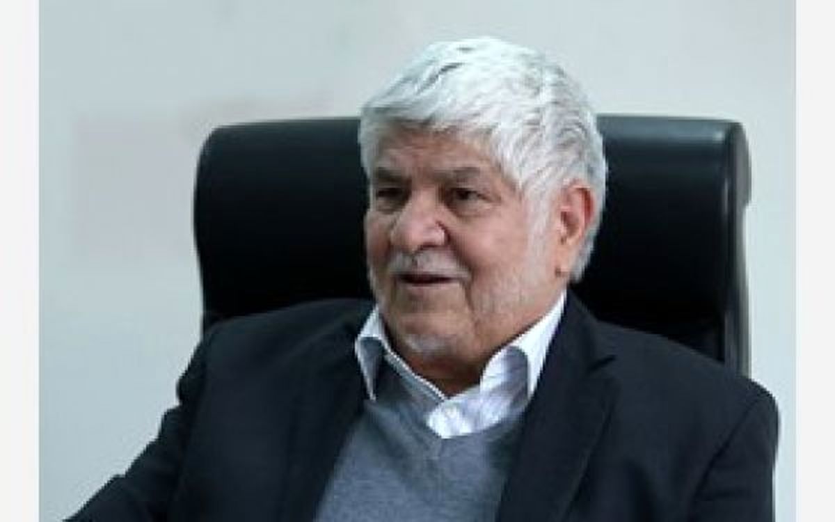 محمد هاشمی: با القای نا امیدی نظام متضرر میشود نه دولت