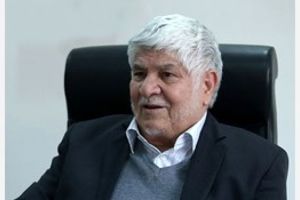 محمد هاشمی: با القای نا امیدی نظام متضرر می‌شود نه دولت