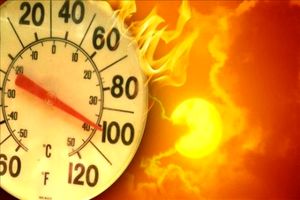 خطر گرمای شدید هوا برای مبتلایان به بیماری‌ کلیوی