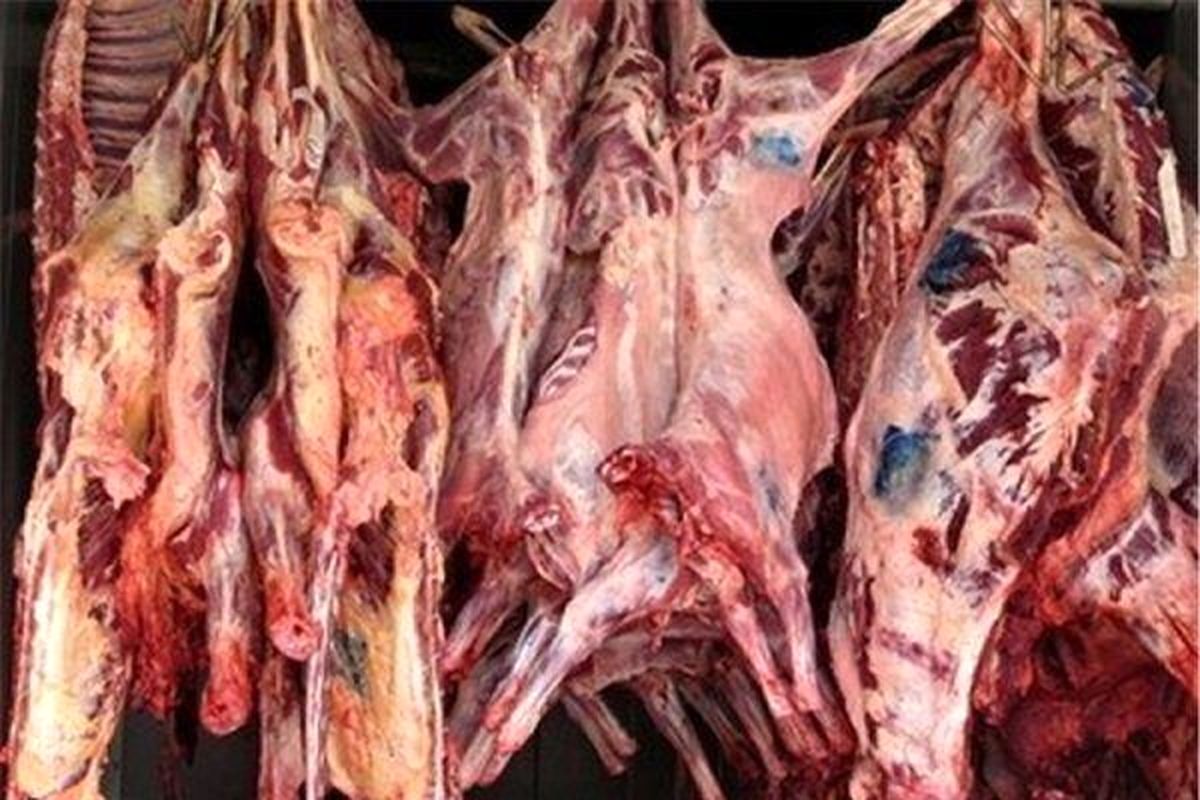 گوشت گوسفندی در آستانه ۵۰ هزارتومانی شدن