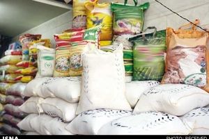 تکذیب واردات ۳ میلیون تنی برنج/ مدعیان ثابت کنند