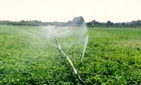 آبیاری نوین بیش از یک میلیون هکتار اجرا شد