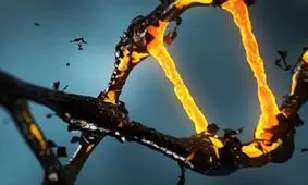 شناسایی یک نقش اساسی در ساختار DNA که پیش‌تر کاذب تلقی می‌شد