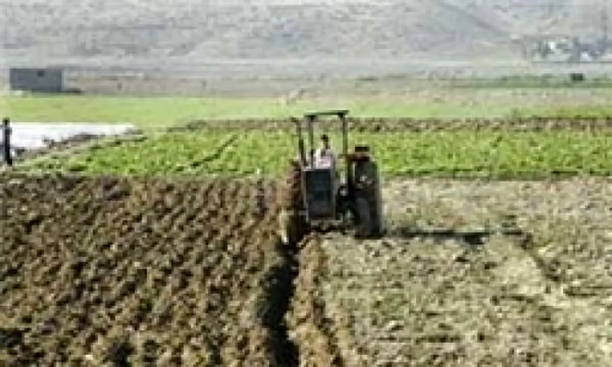 احیای ۴۶ هزار هکتار اراضی کشاورزی تا تیر ماه