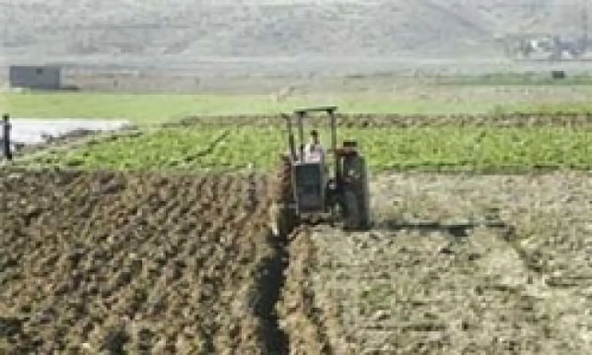 احیای ۴۶ هزار هکتار اراضی کشاورزی تا تیر ماه