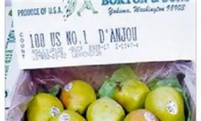 ۵۷ میلیارد تومان واردات آناناس، گلابی، انبه و منگوتین