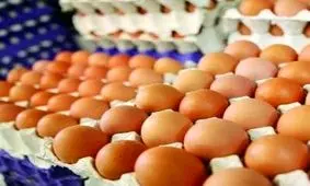 تعرفه واردات تخم‌مرغ تغییر کرد