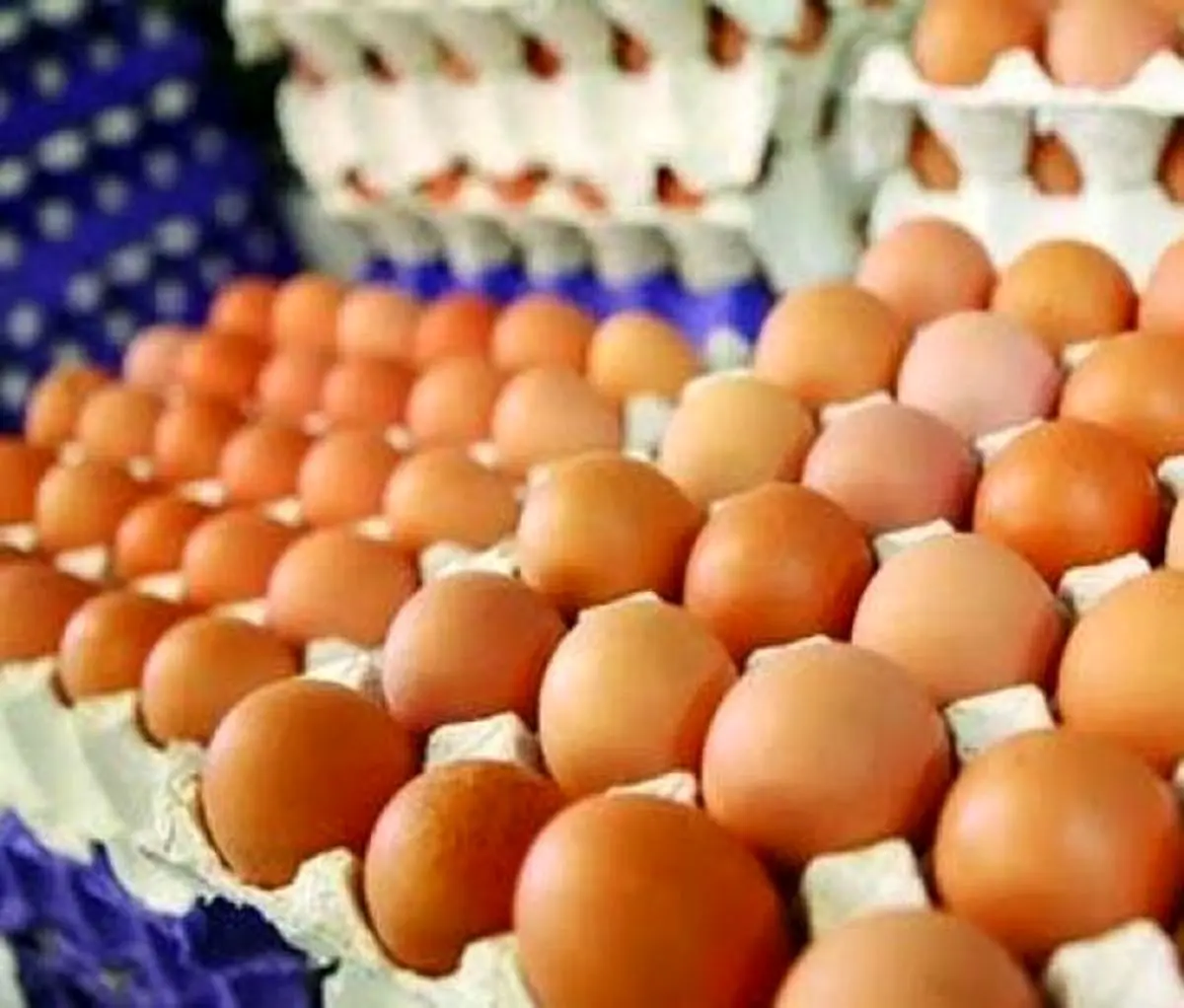 تعرفه واردات تخم‌مرغ تغییر کرد