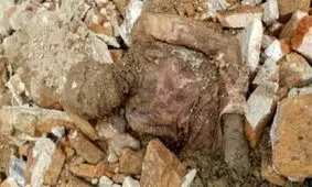 ضدونقيض‌هاي كشف جسد موميايي رضاشاه