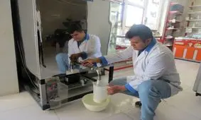 شیر سنتی، همان شیرهای برگشتی کارخانه است