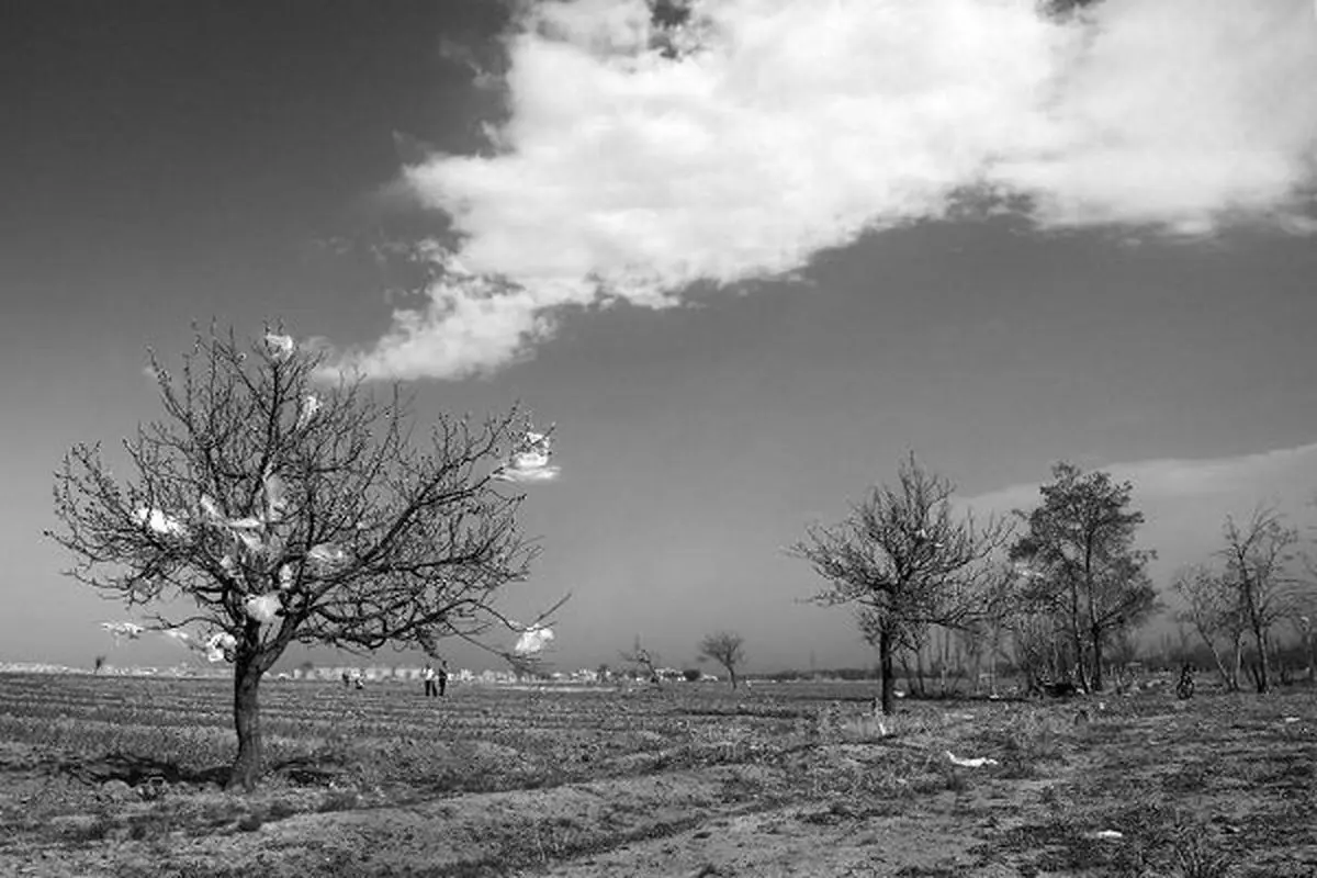 درخواست برای کاهش مصرف کیسه‌های پلاستیکی/ پلاستیک صنعتی آب‌بر است