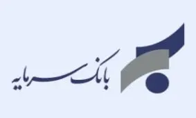 قائم مقام بانک سرمایه معرفی شد