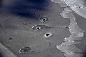 کشف و عکاسی از حفره های یخی در قطب شمال