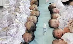 تولد 250 نوزاد در دقیقه