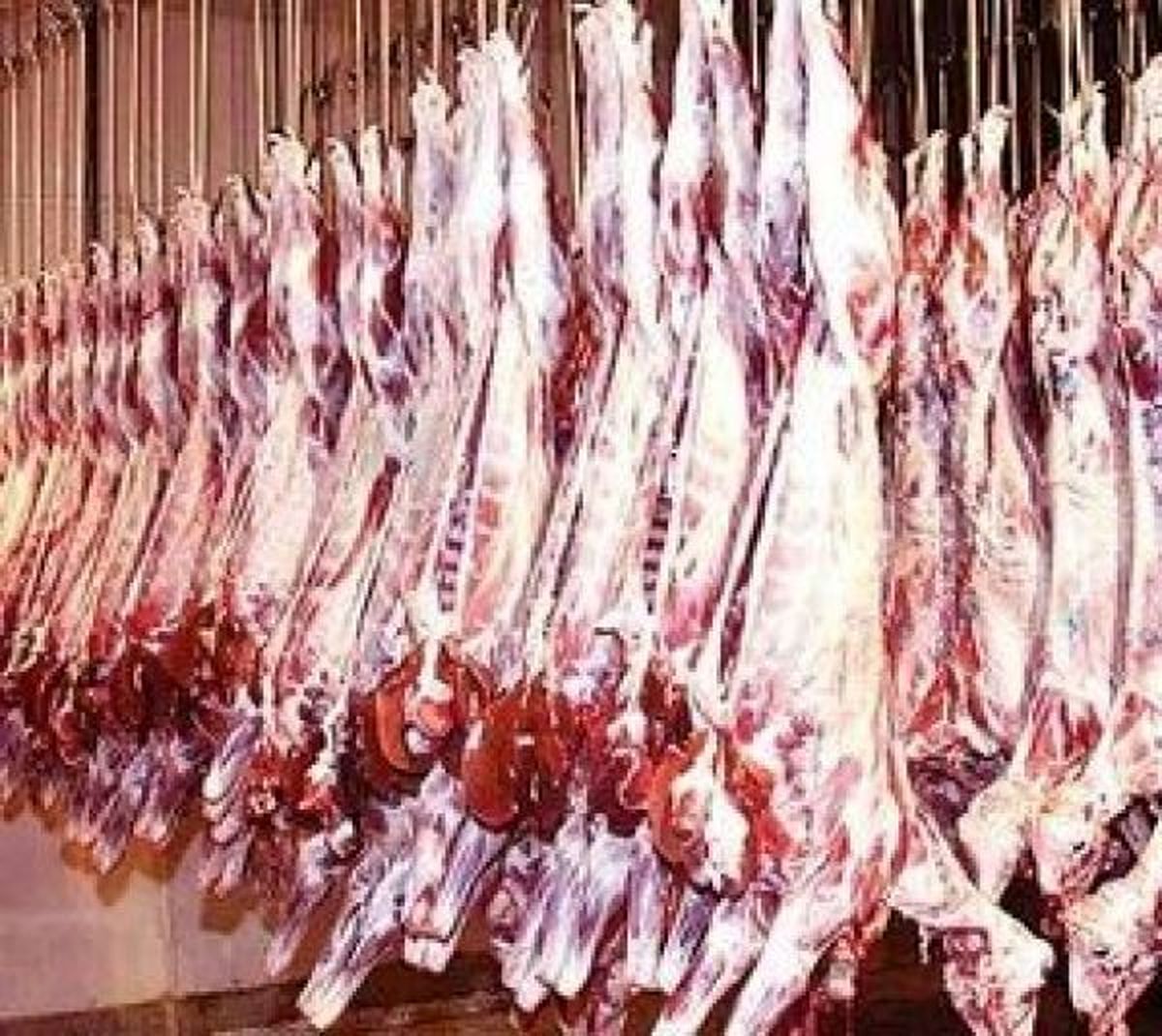 بازار گوشت در ماه رمضان کمبودی ندارد