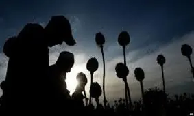 کاهش سن مواد مخدر در بانوان