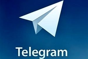 عضو شورای عالی فضای مجازی: ۳۰ درصد از مخاطبان «تلگرام» کاهش یافته است
