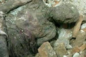 جسد کشف‌شده قطعا متعلق به رضاخان است/ مومیایی دوباره دفن شده است؟