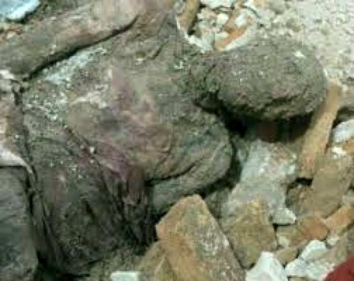 جسد کشف‌شده قطعا متعلق به رضاخان است/ مومیایی دوباره دفن شده است؟