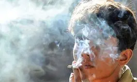 آماری از شیوع مصرف «گل» و محرک‌ها در تهران
